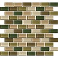 CW25-2X1